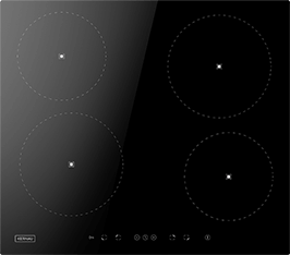Induktionsfeld Reparatur Buchholz